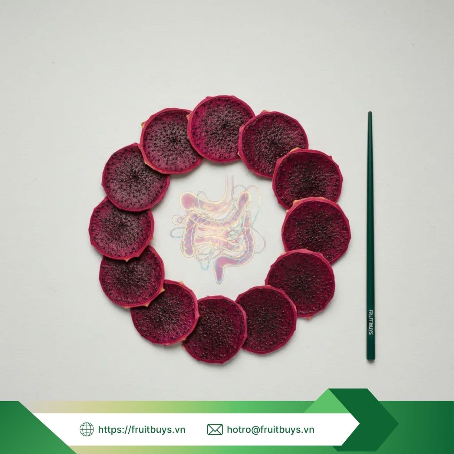 5 lợi Ích của thanh long sấy dẻo với tiêu hóa (prebiotic!) (2)