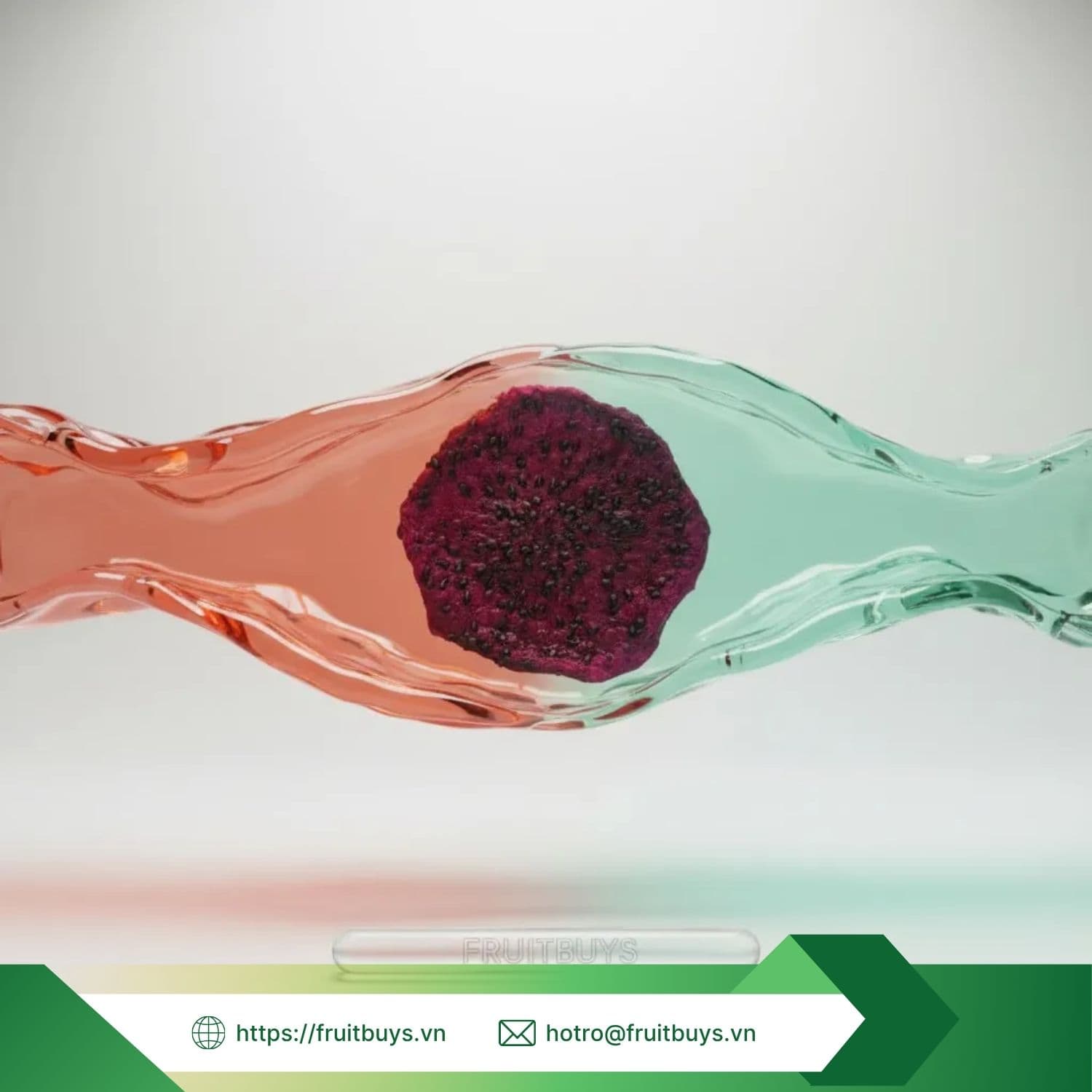 5 lợi Ích của thanh long sấy dẻo với tiêu hóa (prebiotic!) (6)