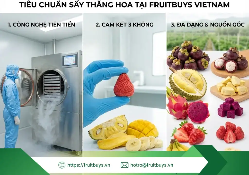 Công Nghệ Sấy Thăng Hoa (Freeze Drying) Là Gì? Giải Mã "Cỗ Máy Thời Gian" Của Ngành Thực Phẩm công nghệ sấy thăng hoa (freeze drying) 34 fruitbuys vietnam