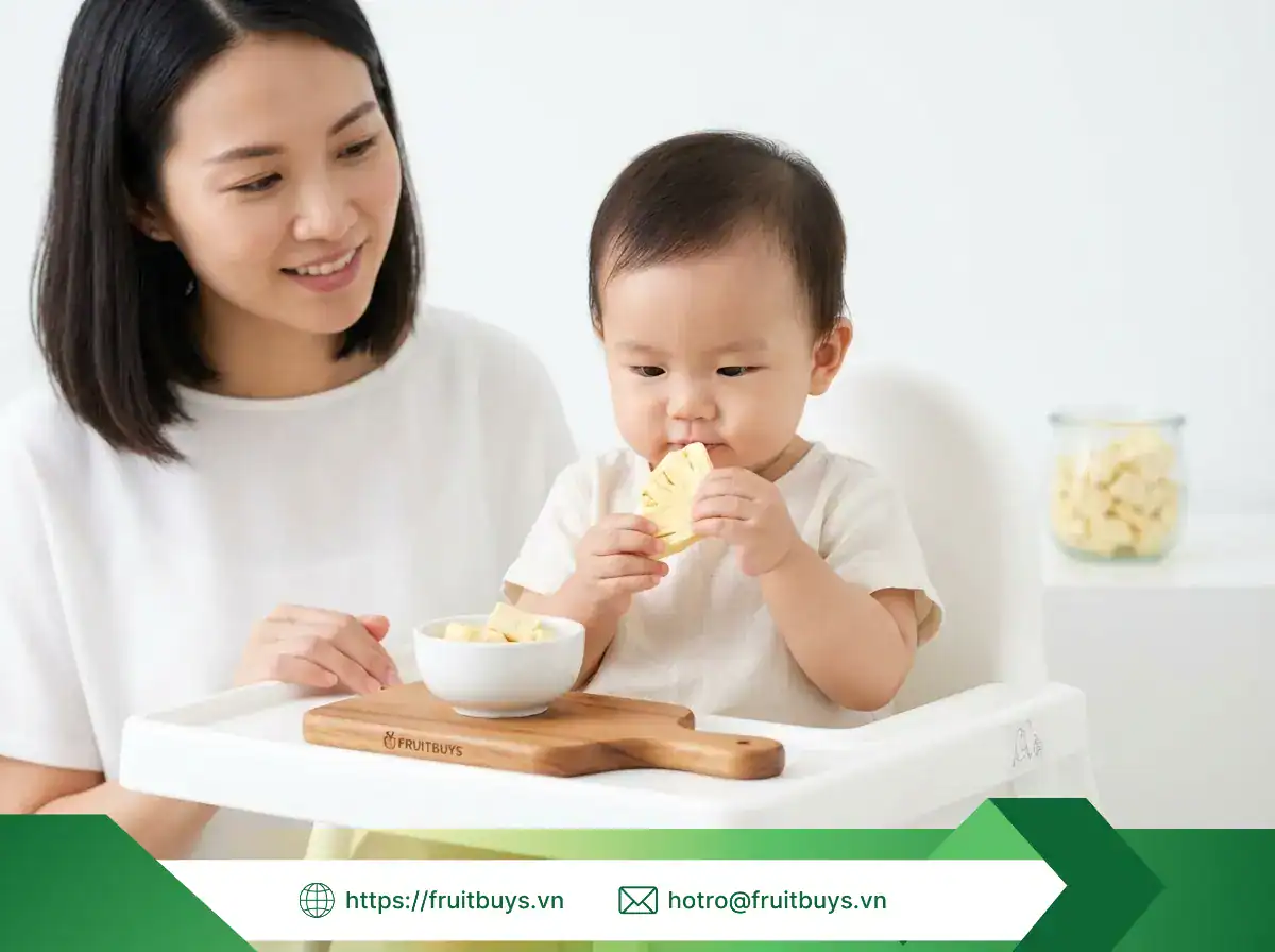 Dứa (Khóm) Sấy Thăng Hoa dứa (khóm) sấy thăng hoa