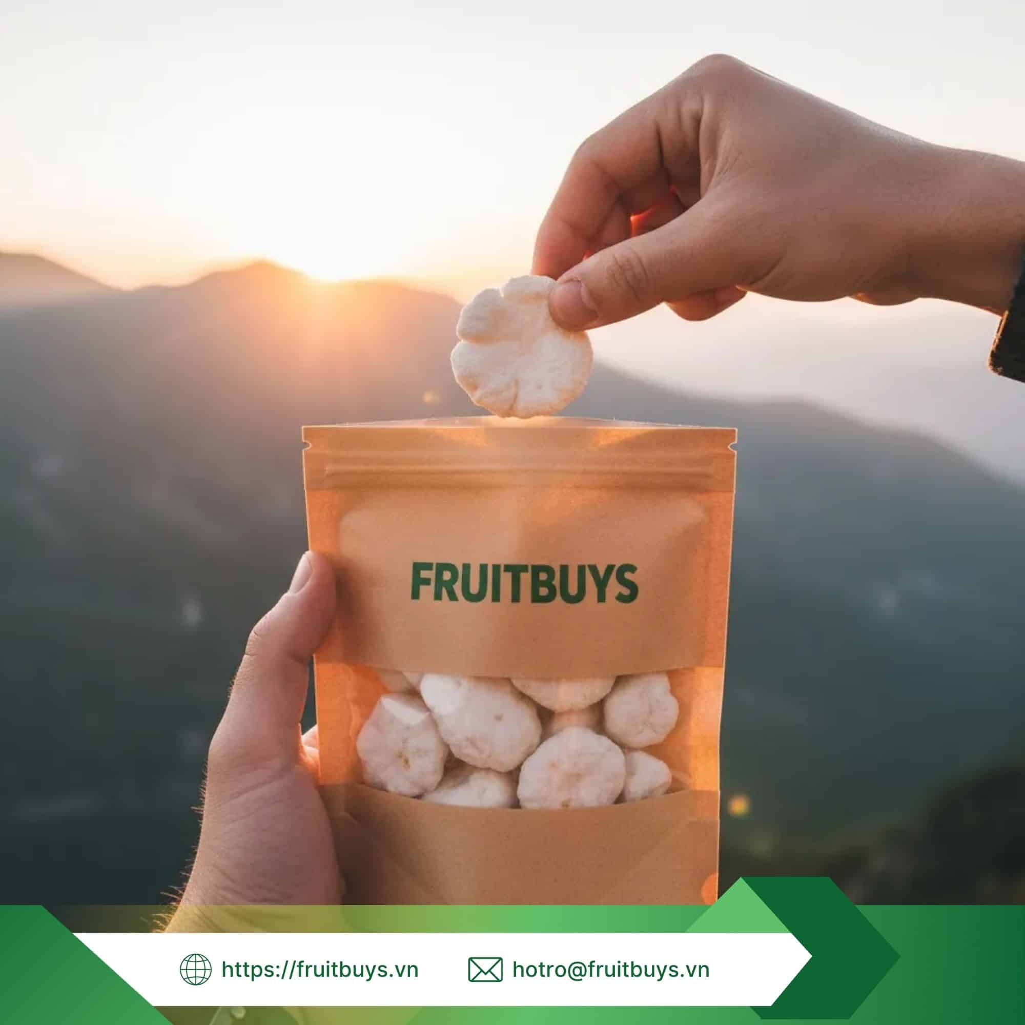 Măng cụt sấy thăng hoa fruitbuys (5)