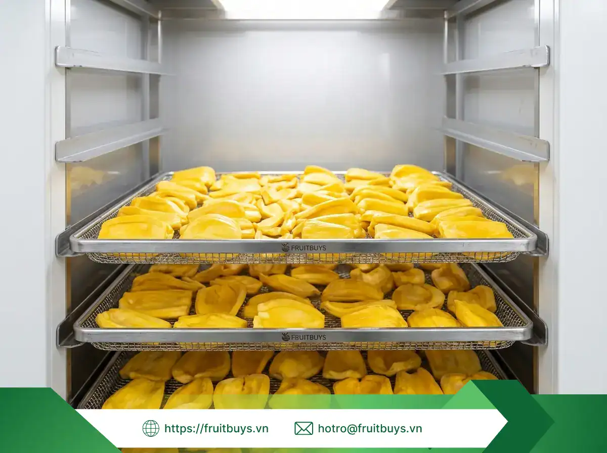 Quy Trình Sản Xuất Mít Sấy Dẻo Không Thêm Đường (Sấy Mộc) – Bí Mật Đằng Sau Vị Ngọt Tự Nhiên Mít Sấy Dẻo Không Thêm Đường (Sấy Mộc) (44) FRUITBUYS VIETNAM