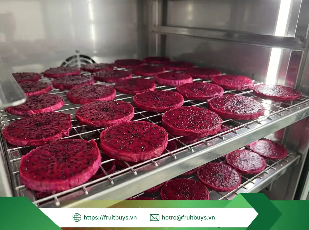 Thanh Long Sấy Dẻo Không Đường (Sấy Mộc) (54) FRUITBUYS VIETNAM