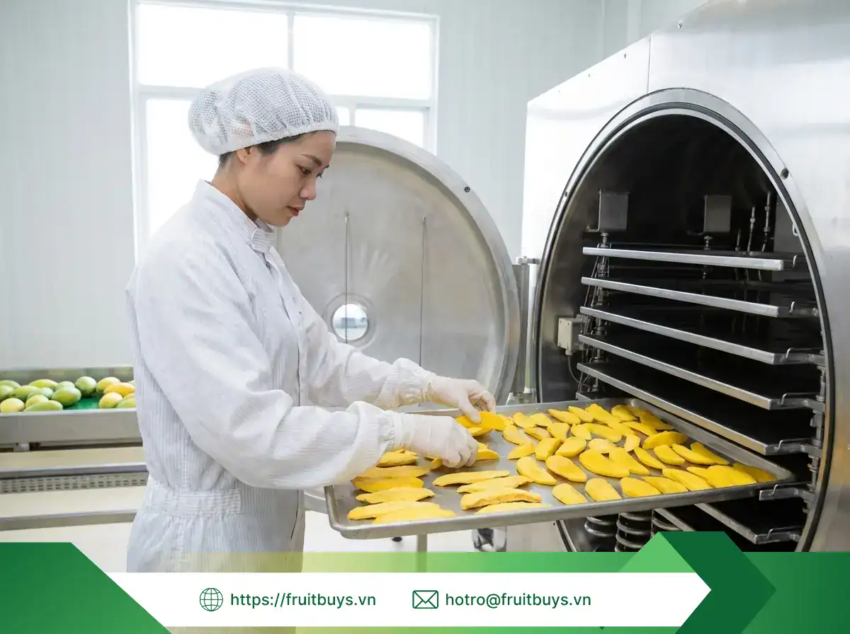 Xoài Sấy Thăng Hoa xoài sấy thăng hoa