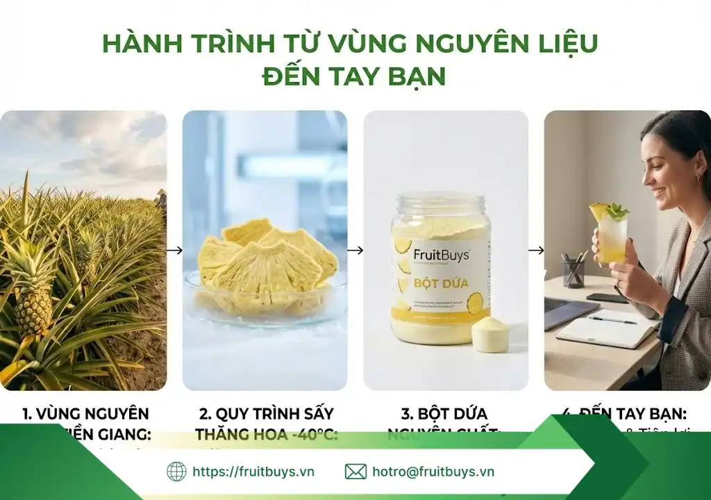 Bột Dứa Sấy Thăng Hoa bột dứa sấy thăng hoa