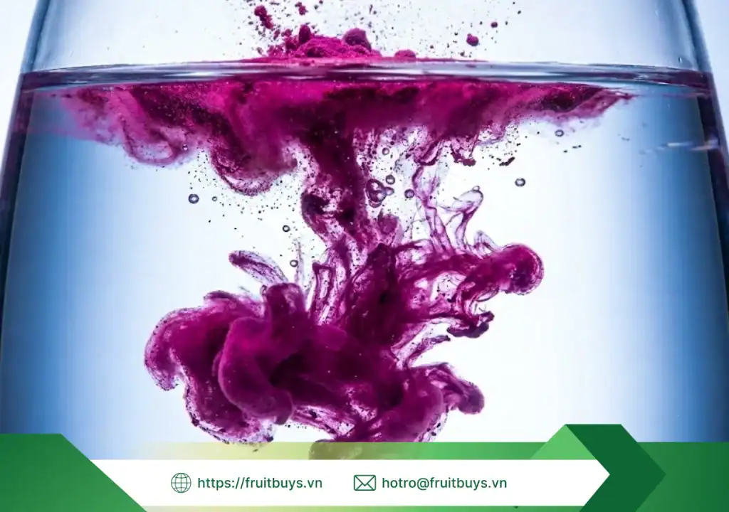 bột thanh long sấy thăng hoa