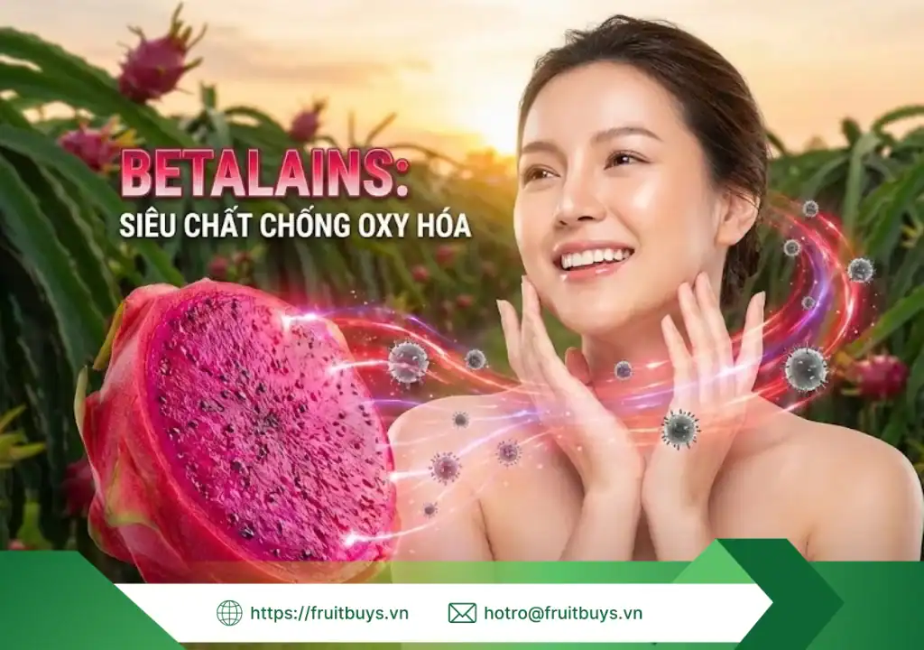 bột thanh long sấy thăng hoa