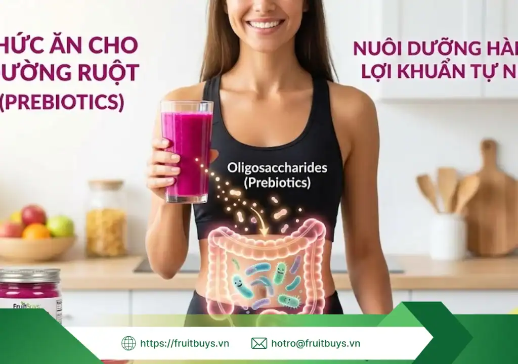 bột thanh long sấy thăng hoa