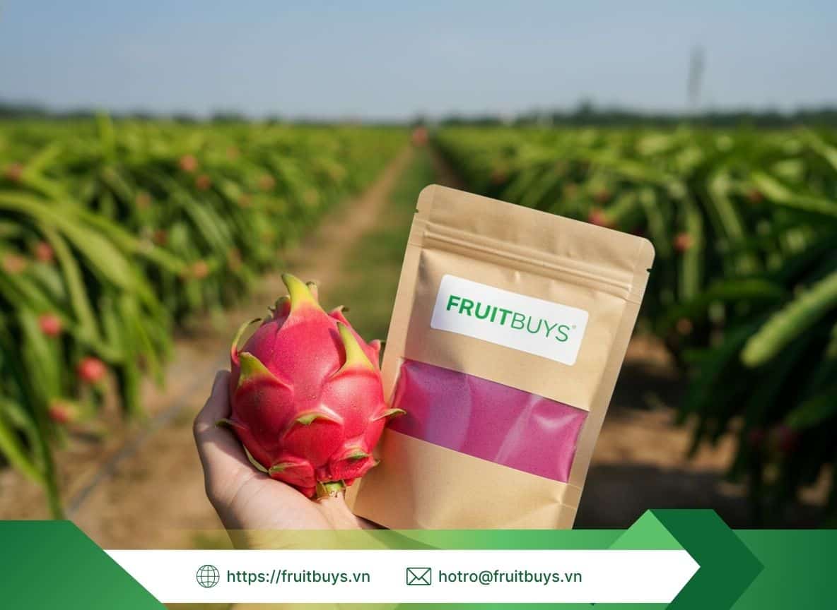 Bột Thanh Long Sấy Thăng Hoa 25117 (11)