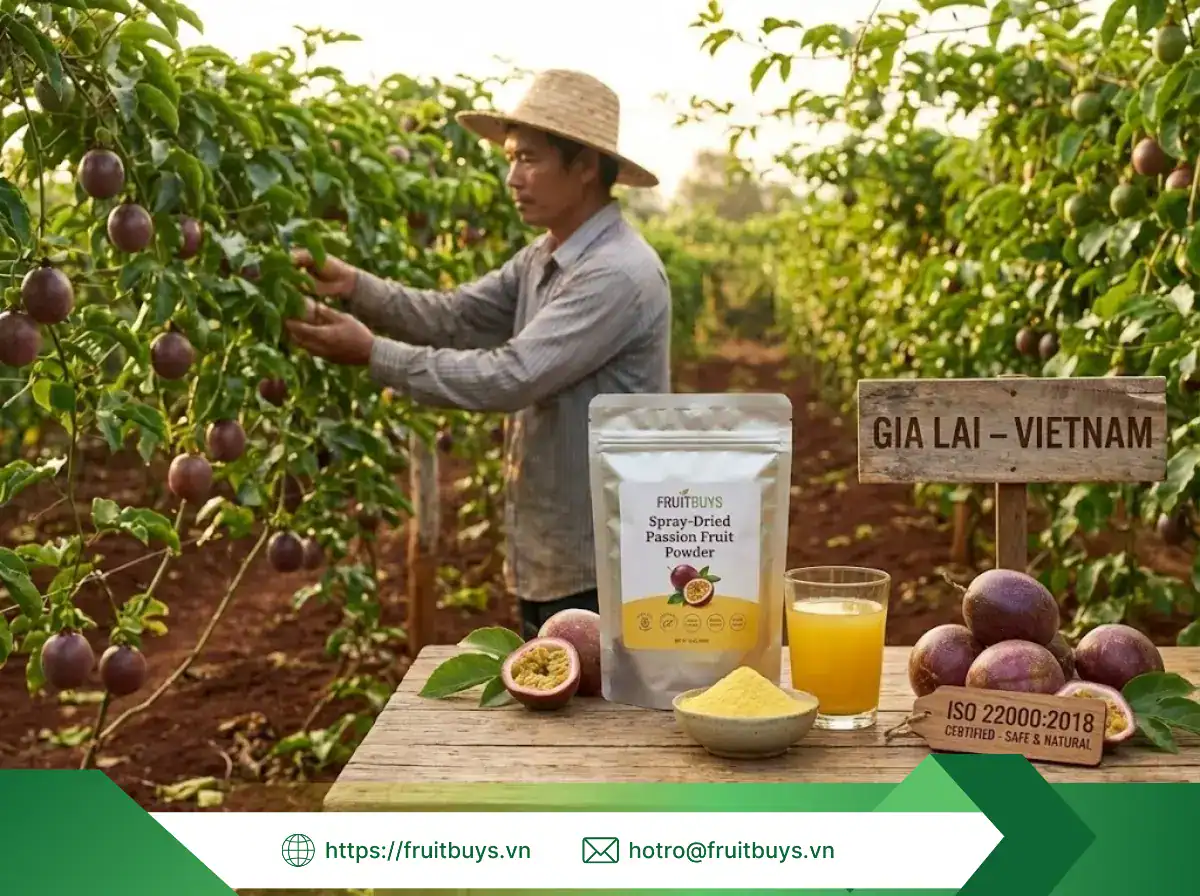 bột chanh dây sấy phun (13) fruitbuys vietnam