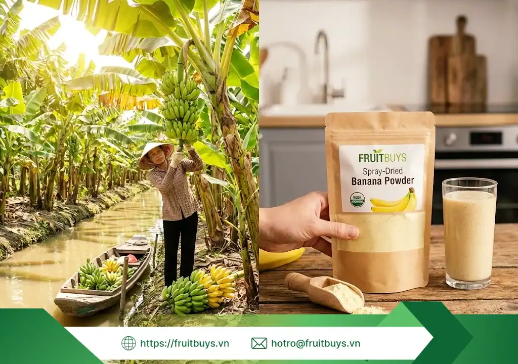 bột chuối sấy phun