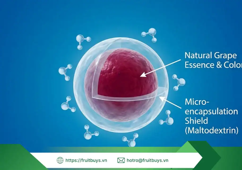 Bột Nho Đỏ Sấy Phun FruitBuys: "Chân Ái" Của Ai Và Ai Nên Tránh Xa? bột nho Đỏ sấy phun (spray dried red grape powder) (8) fruitbuys vietnam