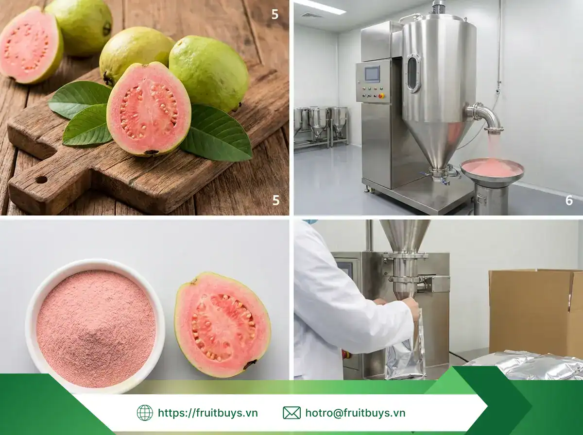 Giải Mã "Cơn Sốt" Bột Ổi Hồng: Khi Khoa Học Thực Phẩm Gặp Gỡ Làm Đẹp Tự Nhiên bột Ổi hồng sấy phun fruitbuys vietnam (18)