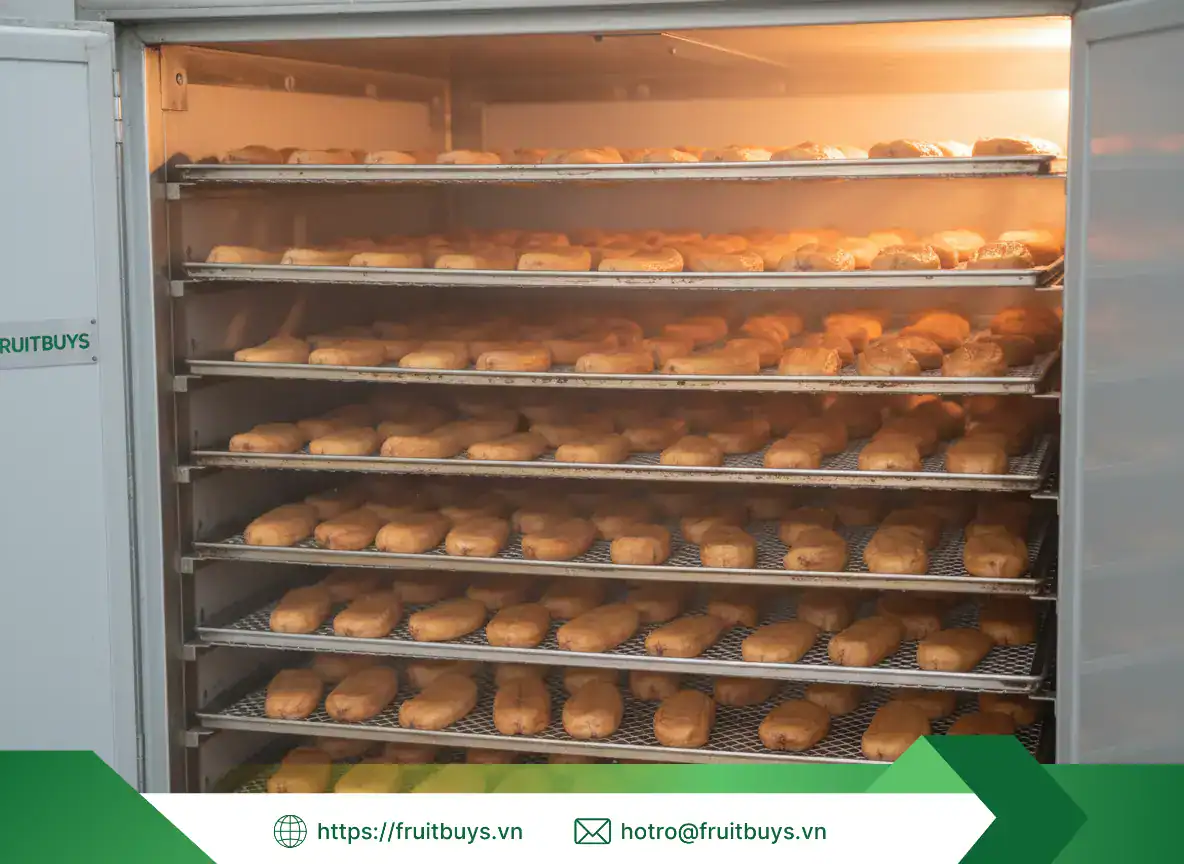 chuối sấy dẻo (29) fruitbuys vietnam