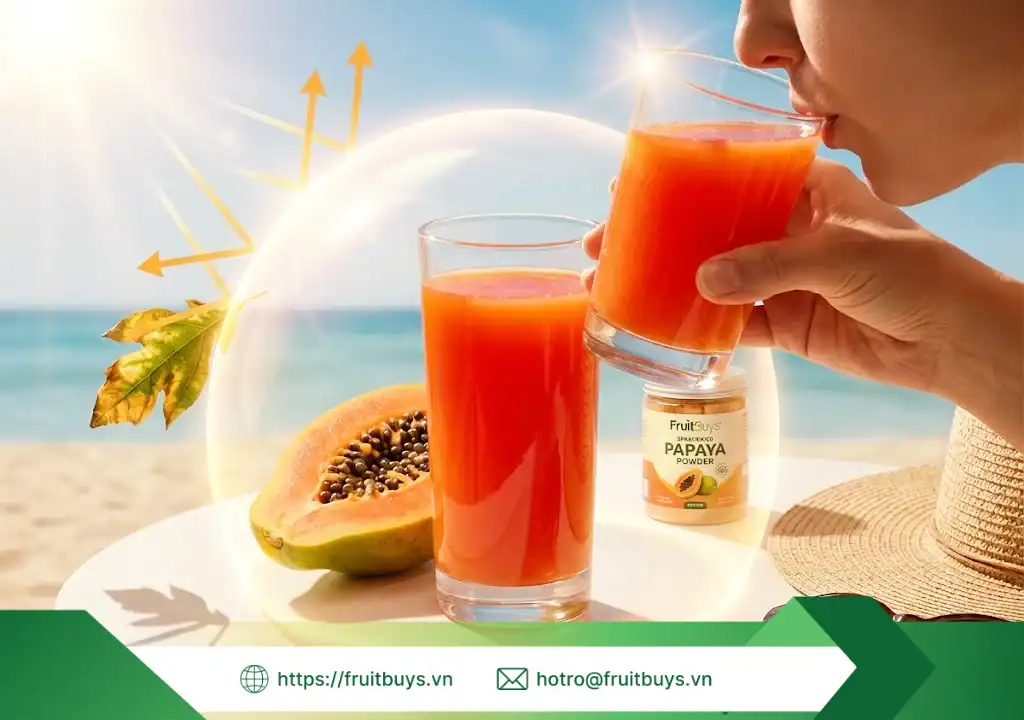 lợi Ích bột Đu Đủ sấy phun 251228 (3) fruitbuys vietnam