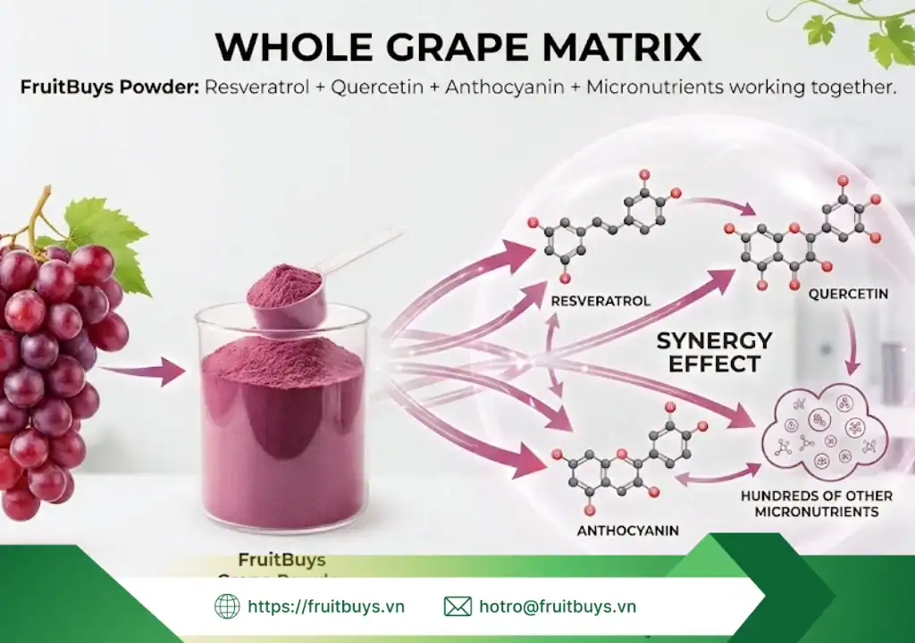 lợi Ích của bột nho Đỏ sấy phun 251230 (11) fruitbuys vietnam