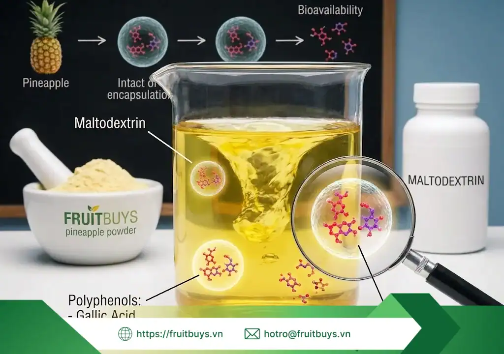 lợi ích bột dứa sấy phun 251226 (4) fruitbuys vietnam