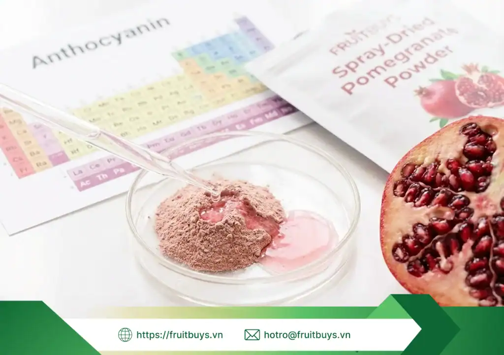 lợi ích bột lựu sấy phun 251229 fruitbuys vietnam