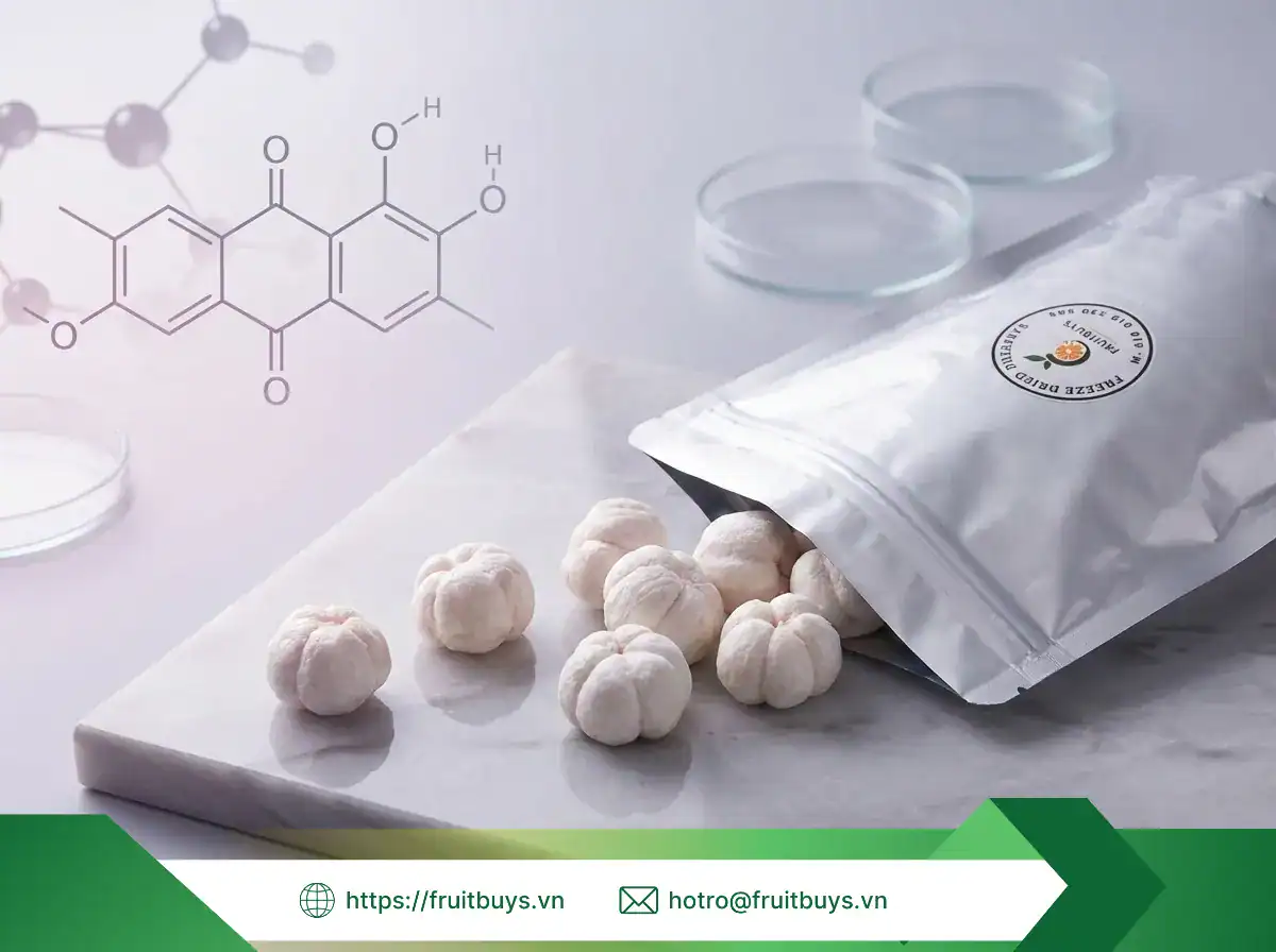 Măng Cụt Sấy Thăng Hoa & Bí Mật "Trẻ Hóa" Từ Hoạt Chất Xanthones (Phân Tích Khoa Học) măng cụt sấy thăng hoa (33) fruitbuys vietnam