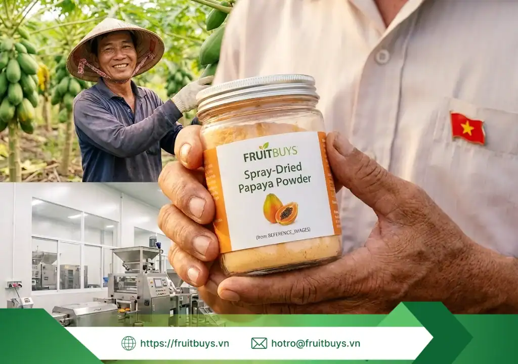 nguồn gốc bột đu đủ sấy phun 251228 (6) fruitbuys vietnam