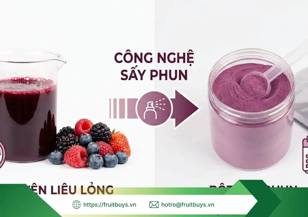 nguồn gốc bột lựu sấy phun 251229 (4) fruitbuys vietnam