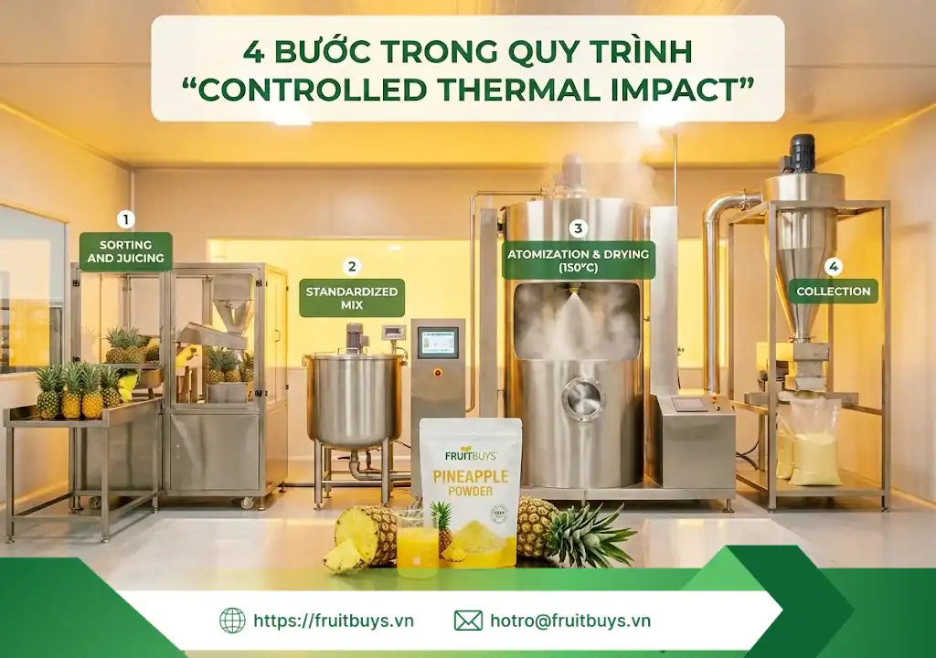 quy trình sản xuất bột dứa sấy phun 251226 (3) fruitbuys vietnam