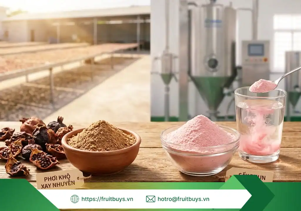 quy trình sản xuất bột lựu sấy phun 251229 (3) fruitbuys vietnam