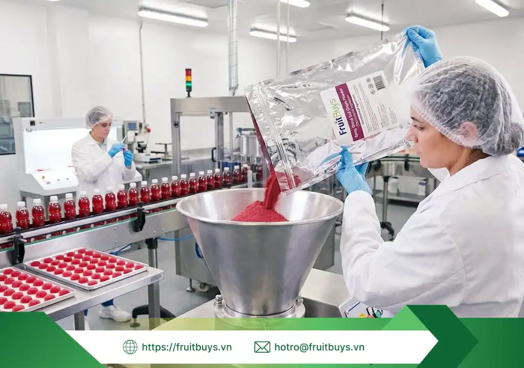 quy trình sản xuất bột nho Đỏ sấy phun 251230 (10) fruitbuys vietnam