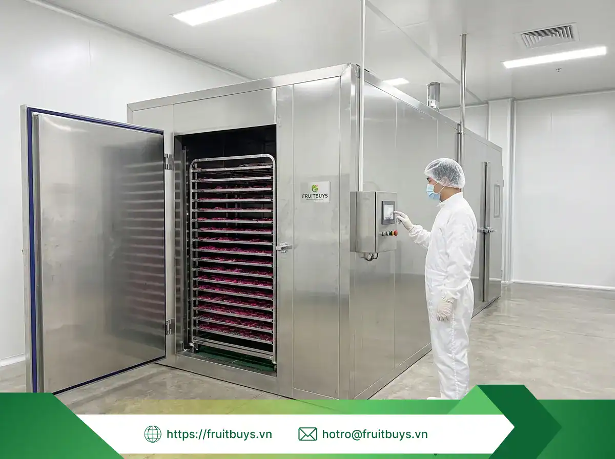 Thanh Long Sấy Dẻo Không Đường (Sấy Mộc) (99) FRUITBUYS VIETNAM