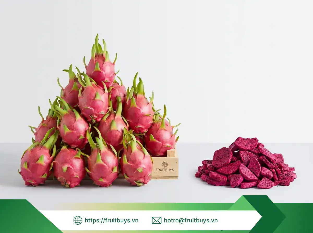 thanh long sấy thăng hoa fruitbuys vietnam (4)