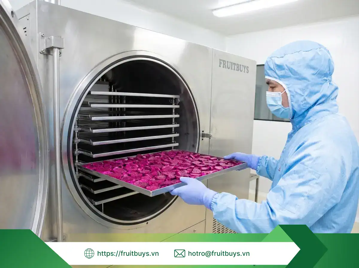 thanh long sấy thăng hoa fruitbuys vietnam (46)