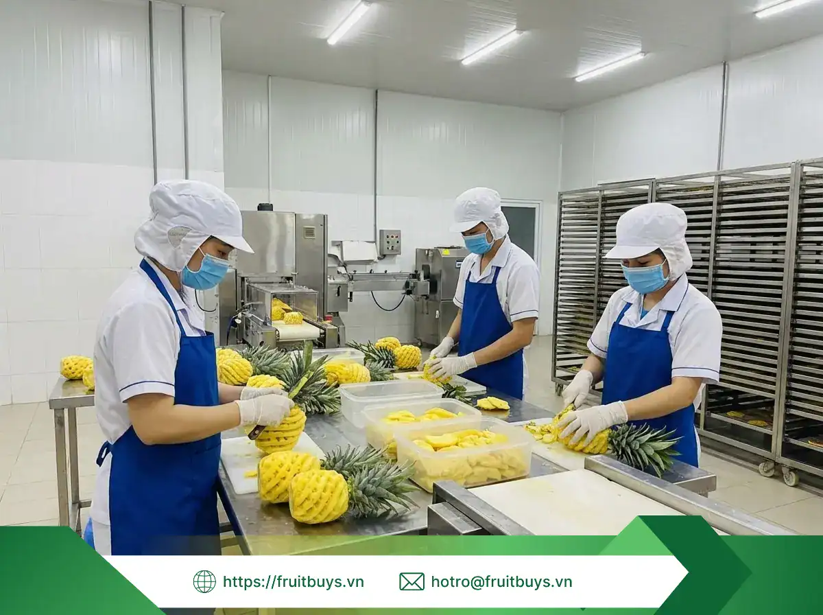 thơm sấy dẻo không Đường (47) fruitbuys vietnam