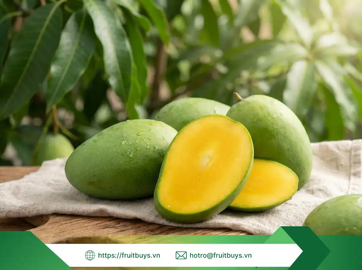 xoài sấy dẻo không Đường (46) fruitbuys vietnam