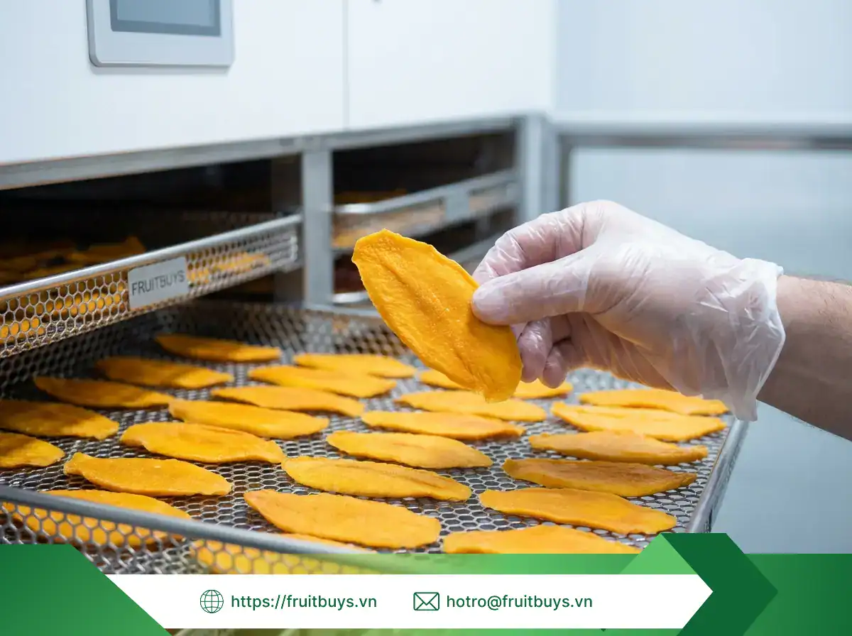 Quy Trình Sản Xuất Xoài Sấy Dẻo Không Đường (Sấy Mộc) – Chuẩn Hóa Công Nghệ Bơm Nhiệt Khép Kín xoài sấy dẻo không Đường (53) fruitbuys vietnam