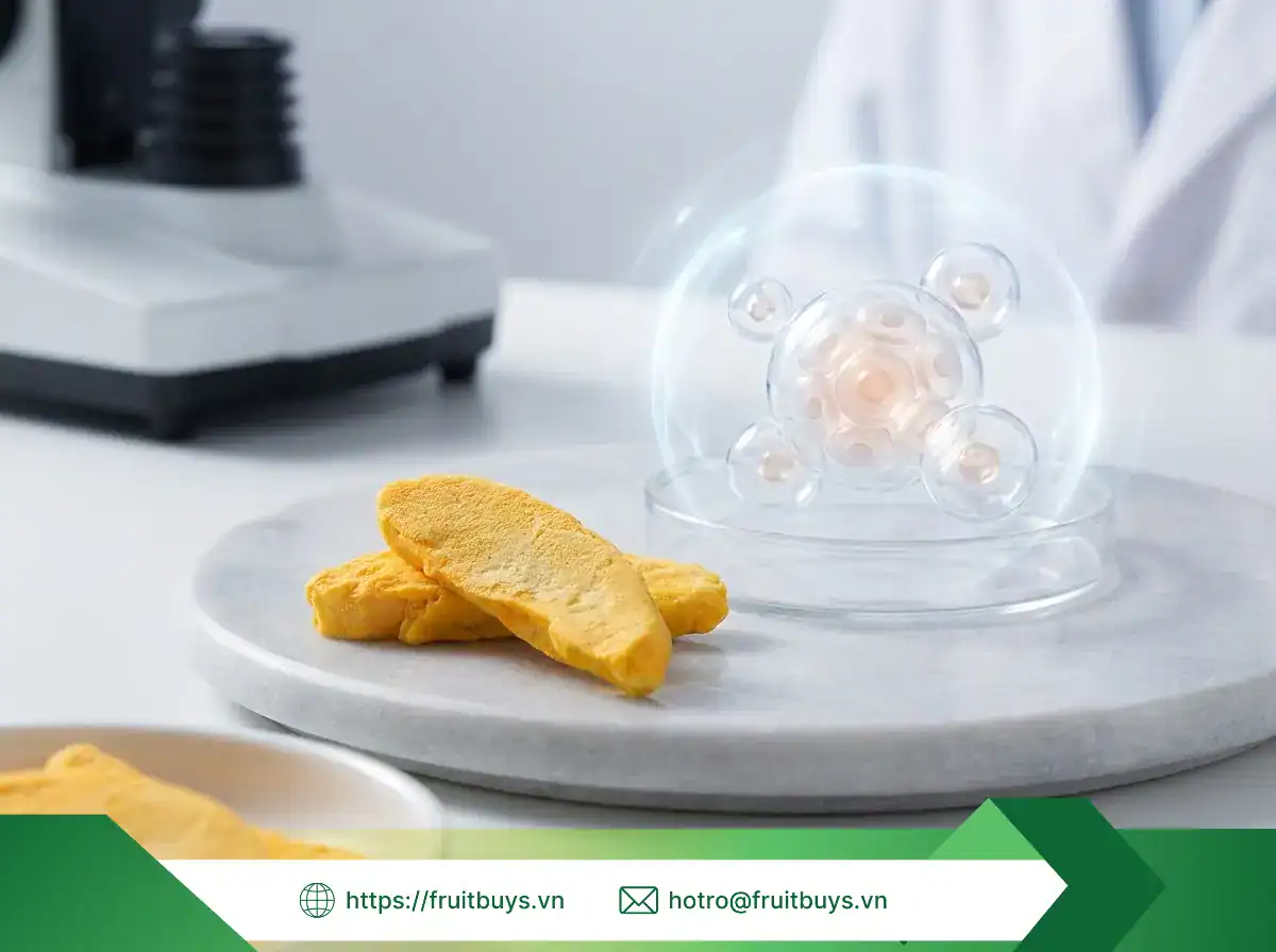 xoài sấy thăng hoa fruitbuys vietnam (16)