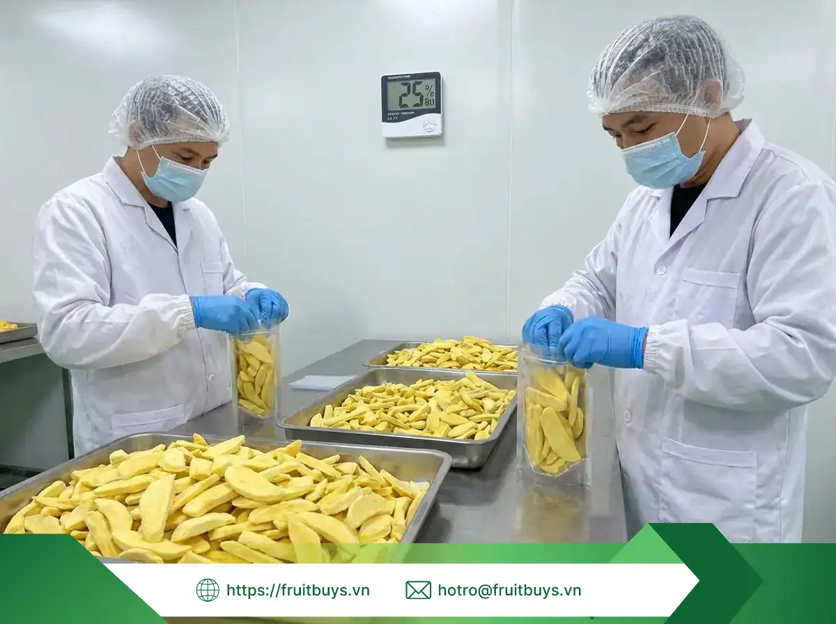 Khám Phá Quy Trình Sản Xuất Xoài Sấy Thăng Hoa: Hành Trình 24 Giờ Biến Xoài Tươi Thành "Snack Phi Hành Gia" xoài sấy thăng hoa fruitbuys vietnam (47)