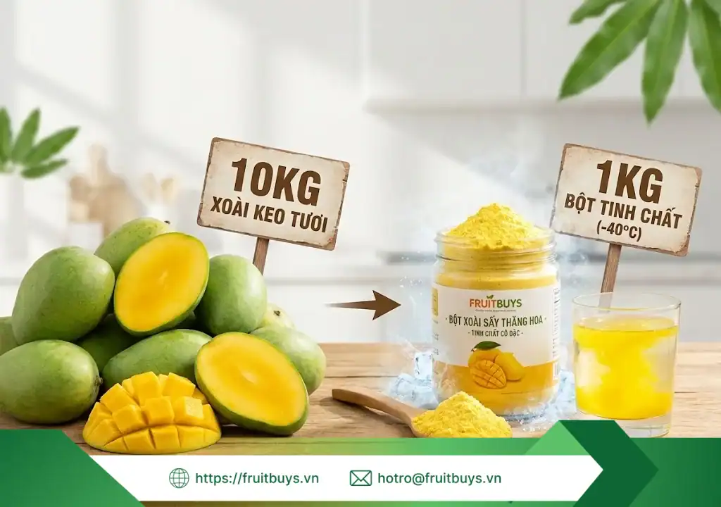 bột xoài sấy thăng hoa dành cho ai 260115 (6) fruitbuys vietnam