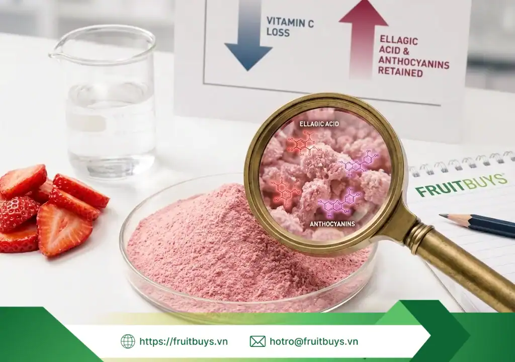 lợi Ích bột dâu tây sấy phun 251229 (3) fruitbuys vietnam