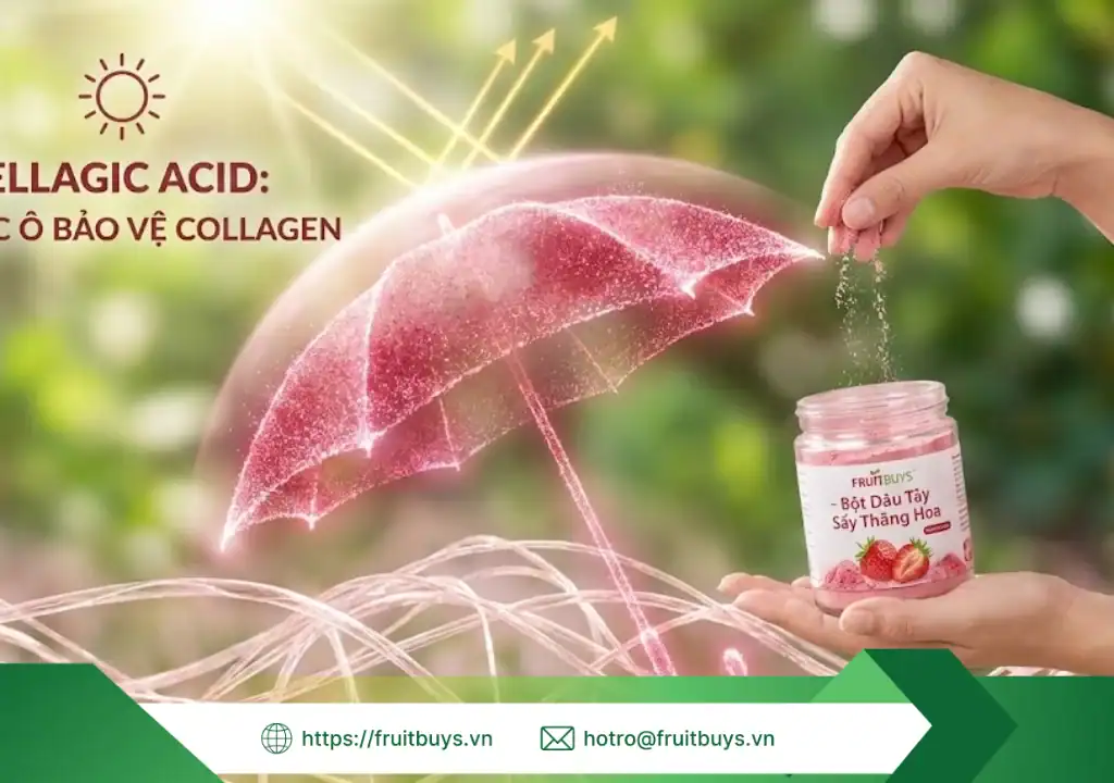 lợi ích bột dâu tây sấy thăng hoa 260109 (2) fruitbuys vietnam