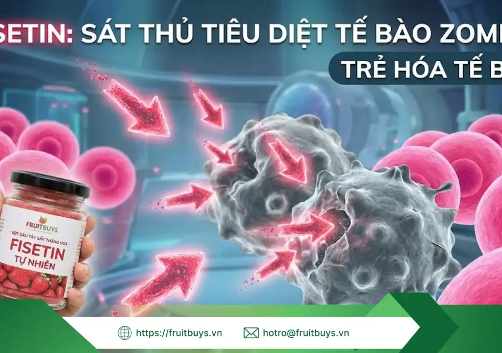 lợi ích bột dâu tây sấy thăng hoa 260109 (3) fruitbuys vietnam