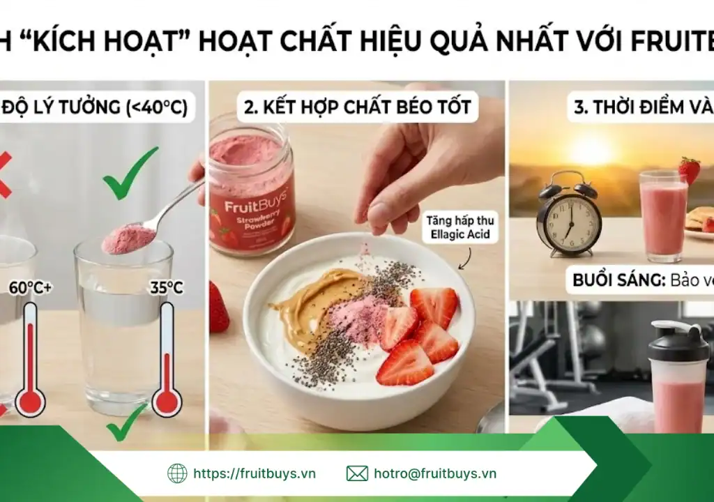 lợi ích bột dâu tây sấy thăng hoa 260109 (6) fruitbuys vietnam