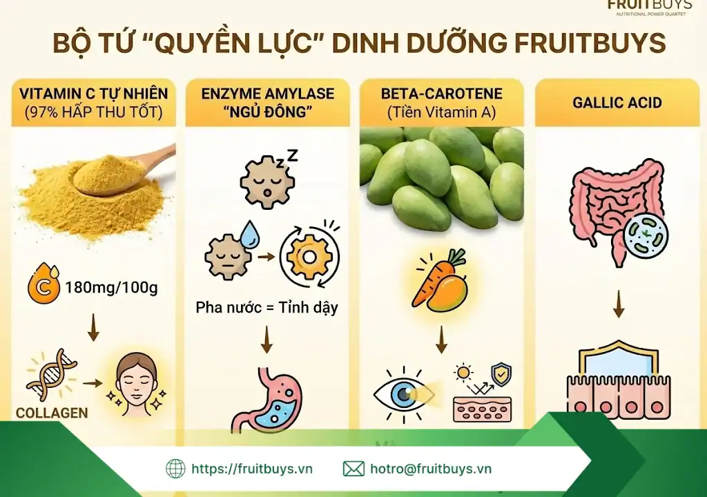 lợi ích bột xoài sấy thăng hoa 260115 (2) fruitbuys vietnam