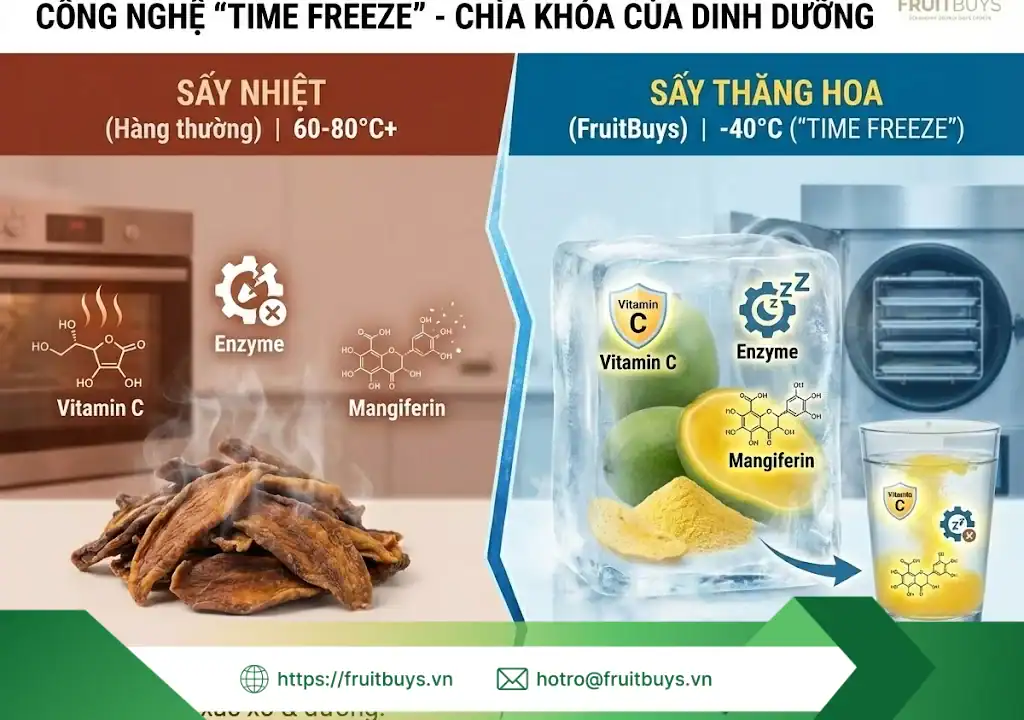 lợi ích bột xoài sấy thăng hoa 260115 (5) fruitbuys vietnam