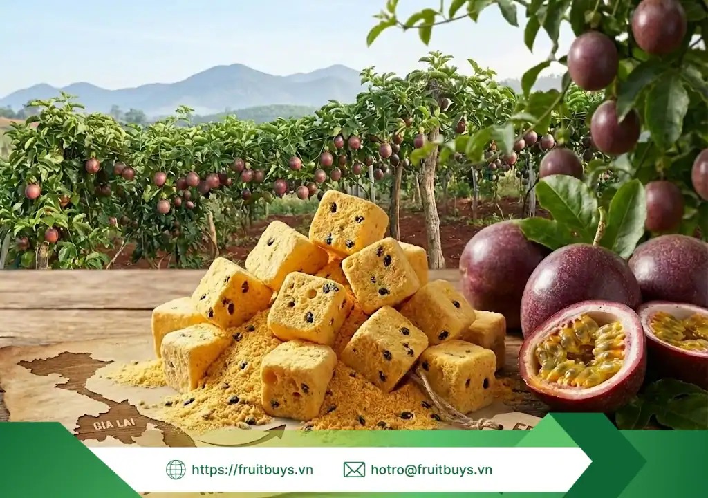 nguồn gốc bột chanh dây sấy thăng hoa 260108 (2) fruitbuys vietnam