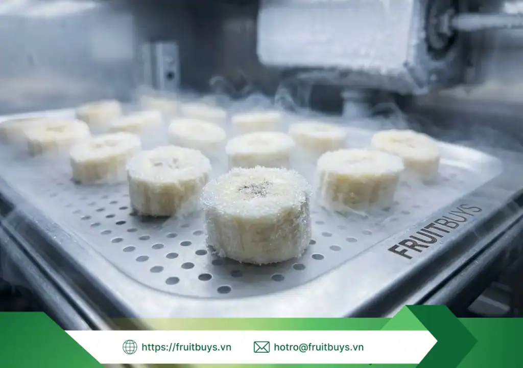 quy trình sản xuất bột chuối sấy thăng hoa 260112 (4) fruitbuys vietnam