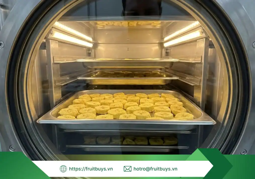 quy trình sản xuất bột chuối sấy thăng hoa 260112 (5) fruitbuys vietnam
