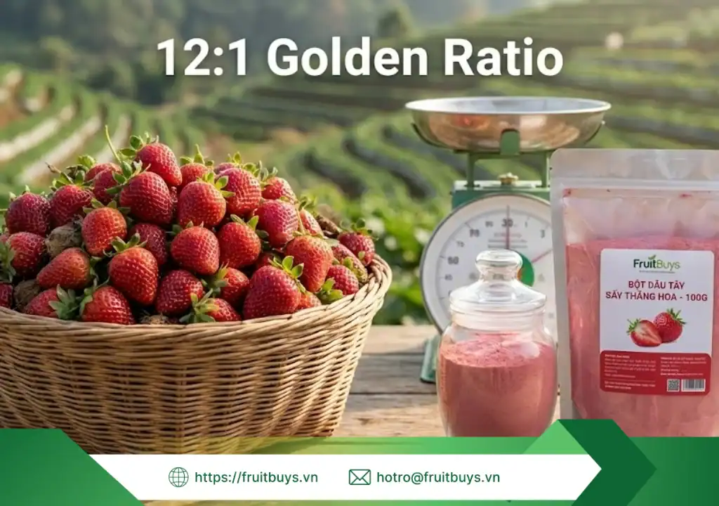 Quy Trình Sản Xuất Bột Dâu Tây Sấy Thăng Hoa: Giải Mã Công Nghệ "Giữ Trọn Linh Hồn" Trái Cây quy trình sản xuất bột dâu tây sấy thăng hoa 260109 (5) fruitbuys vietnam