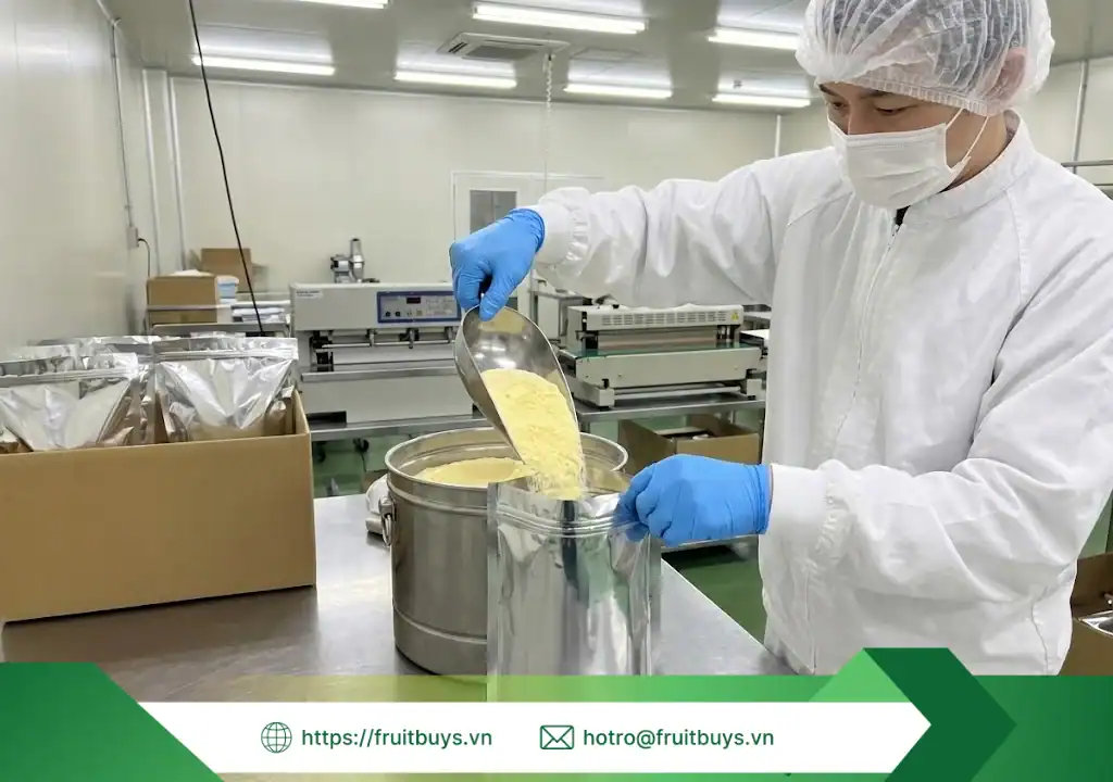 quy trình sản xuất bột dứa sấy thăng hoa 260108 (6) fruitbuys vietnam