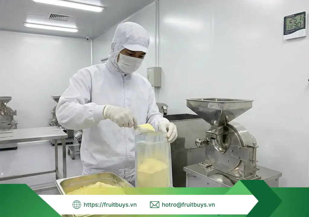 Quy Trình Sản Xuất Bột Mít Sấy Thăng Hoa – Hành Trình "Đóng Băng" Hương Vị Ở -40°C quy trình sản xuất bột mít sấy thăng hoa 260113 (4) fruitbuys vietnam