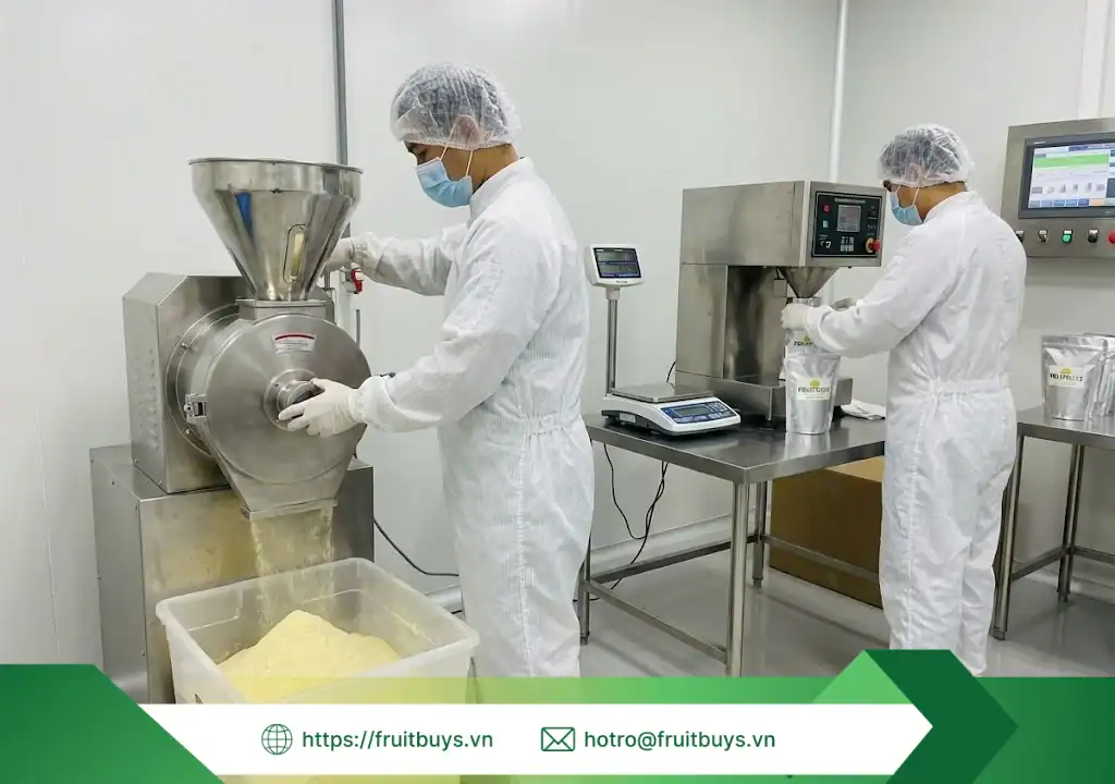 Quy Trình Sản Xuất Bột Sầu Riêng Sấy Thăng Hoa – Giải Mã "Tinh Chất" Vua Trái Cây quy trình sản xuất bột sầu riêng sấy thăng hoa 260111 (3) fruitbuys vietnam